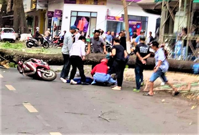Thông tin mới nhất về sức khỏe cô gái bị cây đổ đè trên phố - Ảnh 1. Thông tin mới nhất về sức khỏe cô gái bị cây đổ đè trên phố - Ảnh 1.