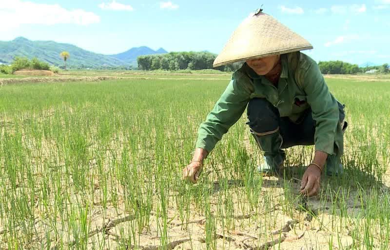 Bắc Bộ có thể đón đợt không khí lạnh cuối cùng trước khi vào Hè khắc nghiệt - Ảnh 6.