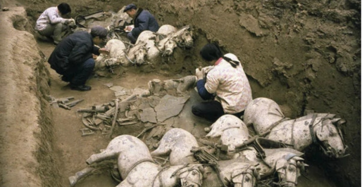 Những bộ xương kỳ lạ trong lăng Tần Thủy Hoàng: Loài vật cũng bị tuẫn táng - Ảnh 2.