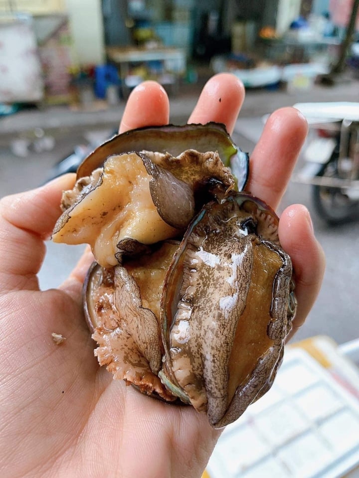 Bào ngư, vi cá mập giá rẻ giật mình, bán tràn 'chợ mạng' - Ảnh 2. Bào ngư, vi cá mập giá rẻ giật mình, bán tràn 'chợ mạng' - Ảnh 2.