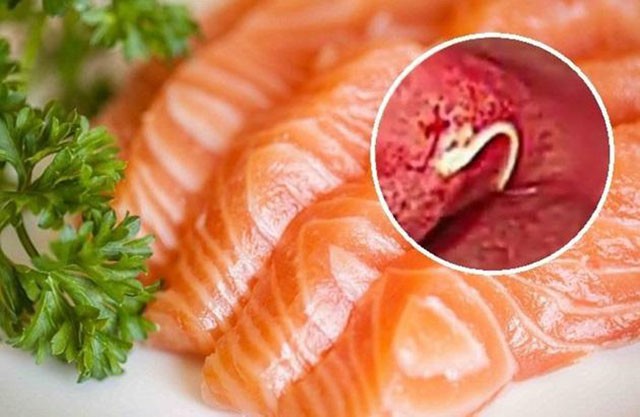 Những loại thực phẩm quen thuộc là ‘ổ chứa vi khuẩn’ khi ăn cần cực kỳ thận trọng - Ảnh 1. Những loại thực phẩm quen thuộc là ‘ổ chứa vi khuẩn’ khi ăn cần cực kỳ thận trọng - Ảnh 1.
