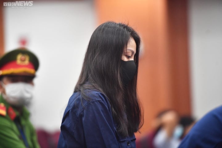 Đình chỉ xét xử phúc thẩm dì ghẻ Nguyễn Võ Quỳnh Trang - Ảnh 1.