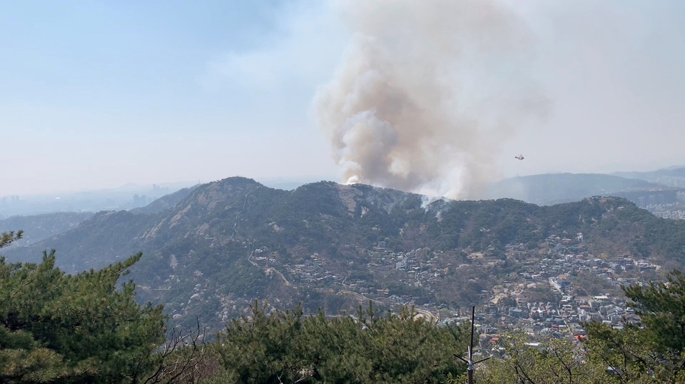 Tổng thống Hàn Quốc chỉ thị huy động mọi nguồn lực dập tắt cháy rừng - Ảnh 1.