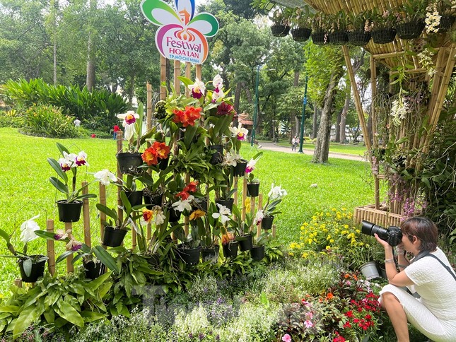 Đi chơi lễ, người d&acirc;n 'tậu' được hoa lan đẹp, gi&aacute; rẻ bất ngờ - Ảnh 12.