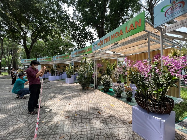 Đi chơi lễ, người d&acirc;n 'tậu' được hoa lan đẹp, gi&aacute; rẻ bất ngờ - Ảnh 1.