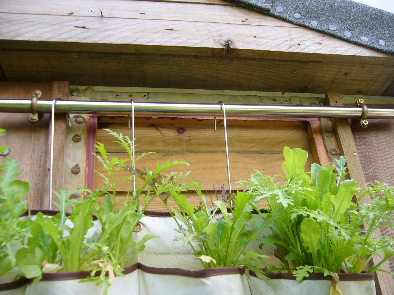 4 mô hình trồng rau tại nhà bạn có thể dễ dàng áp dụng - Ảnh 6.