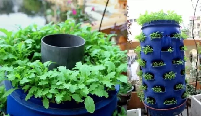 4 mô hình trồng rau tại nhà bạn có thể dễ dàng áp dụng - Ảnh 4. 4 mô hình trồng rau tại nhà bạn có thể dễ dàng áp dụng - Ảnh 4.