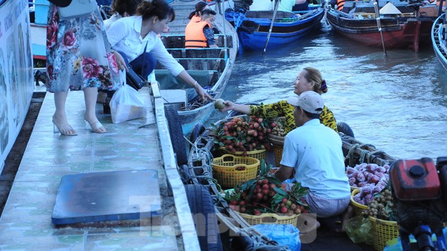 Xác minh thông tin tiêu cực trên mạng xã hội về chợ nổi Cái Răng - Ảnh 2.