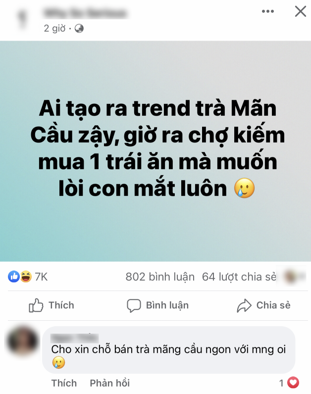 Cơn sốt trà mãng cầu và gỏi măng cụt đang càn quét khắp mọi nơi, đến nỗi đi chợ không còn trái chín mà mua  - Ảnh 6.