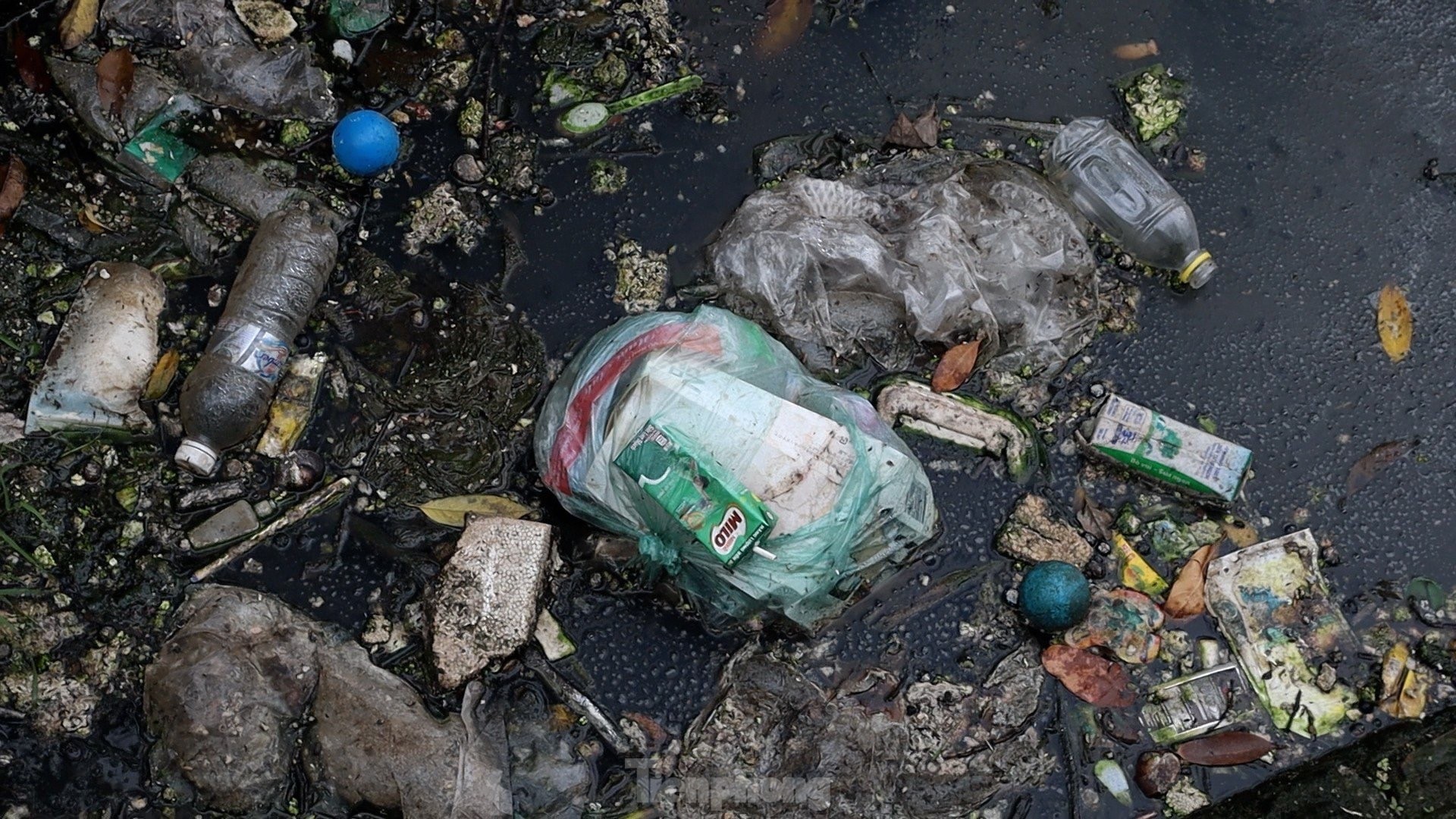 Cận cảnh các kênh mương nước ô nhiễm, ngập ngụa rác và nước thải đen ngòm giữa lòng Hà Nội - Ảnh 9.