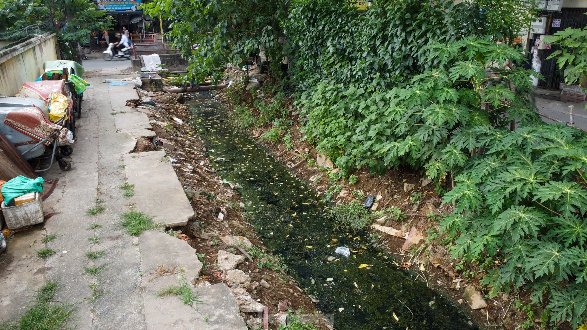 Cận cảnh các kênh mương nước ô nhiễm, ngập ngụa rác và nước thải đen ngòm giữa lòng Hà Nội - Ảnh 10.