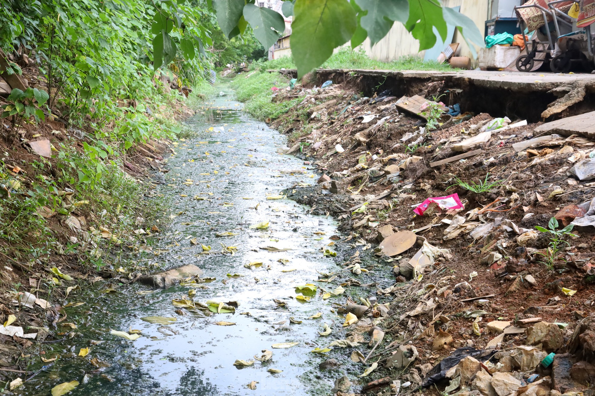 Cận cảnh các kênh mương nước ô nhiễm, ngập ngụa rác và nước thải đen ngòm giữa lòng Hà Nội - Ảnh 11.