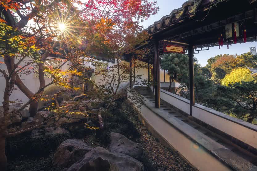 Khu vườn cổ 600 năm trường tồn cùng tuế nguyệt, cảnh sắc 4 mùa đẹp vĩnh cửu giữa cố đô Nam Kinh - Ảnh 4.