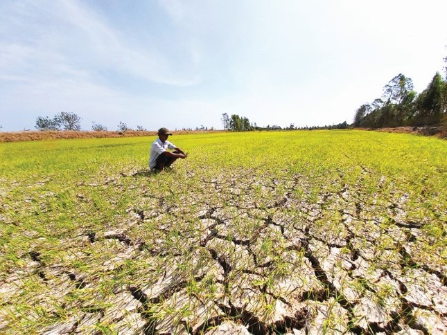 Hình thái thời tiết hết sức nguy hiểm những năm El Nino - Ảnh 2.