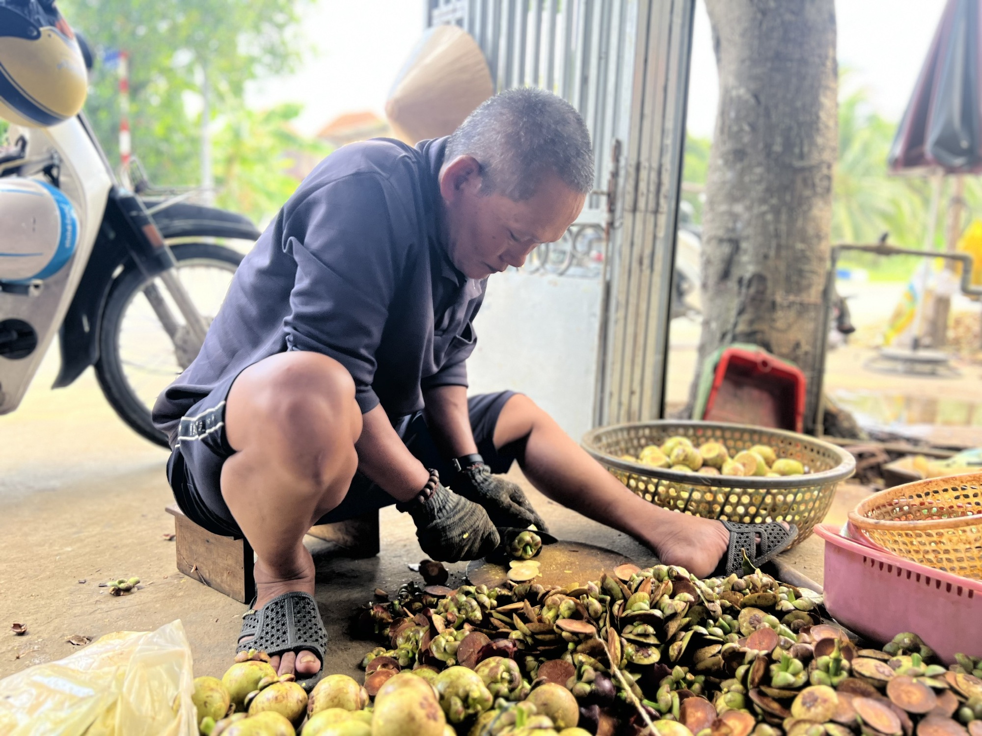 Nhiều người ở Bình Dương trúng đậm nhờ măng cụt gây sốt mạng xã hội - Ảnh 9.