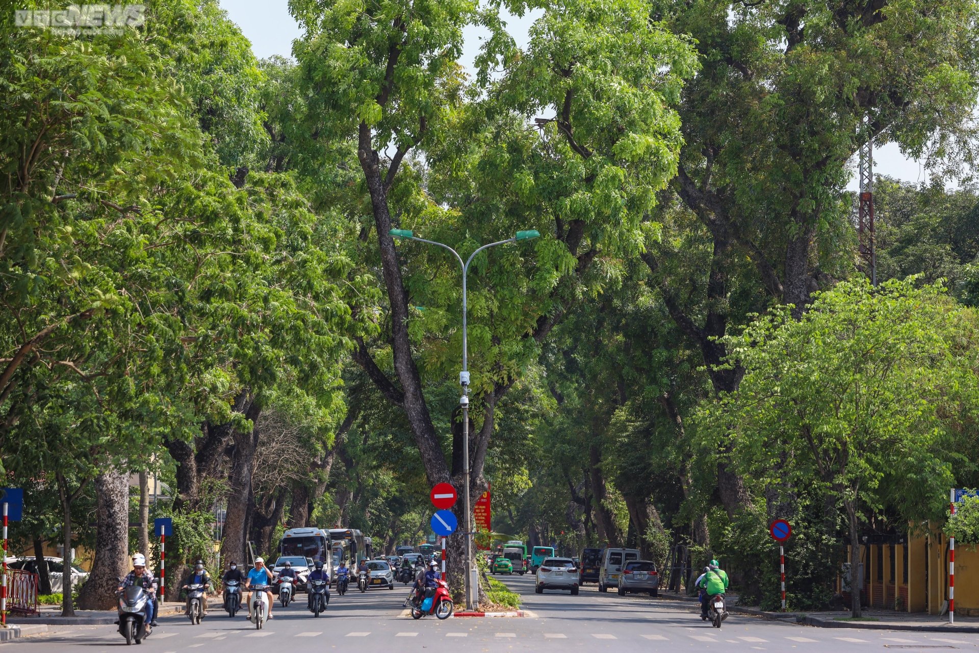 Những con đường rợp b&oacute;ng m&aacute;t giữa ng&agrave;y H&agrave; Nội 'đổ lửa' - Ảnh 2.