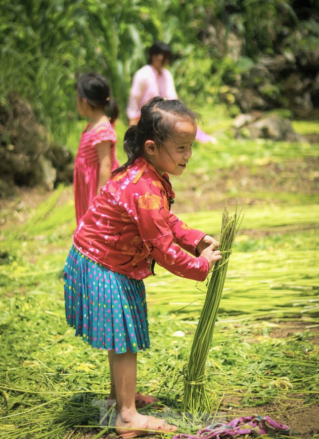 Rộn ràng tiếng cười mùa thu hoạch lanh trên cao nguyên đá Hà Giang - Ảnh 13.