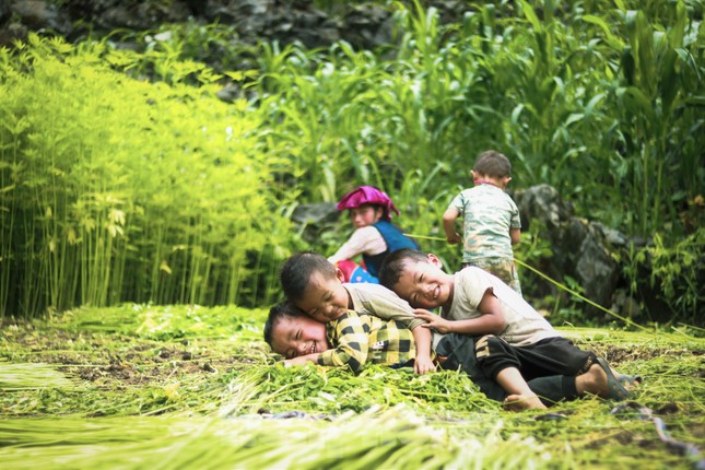 Rộn ràng tiếng cười mùa thu hoạch lanh trên cao nguyên đá Hà Giang - Ảnh 11.