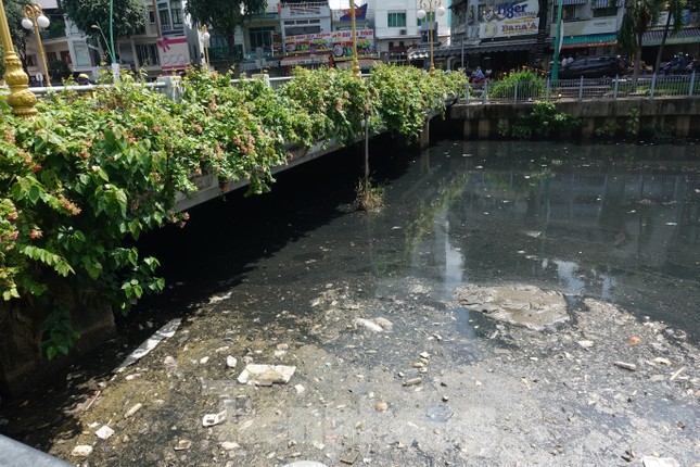 Cá chết, rác thải nổi trên kênh Nhiêu Lộc - Thị Nghè - Ảnh 8.