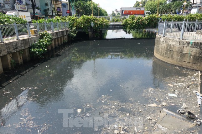 Cá chết, rác thải nổi trên kênh Nhiêu Lộc - Thị Nghè - Ảnh 6.