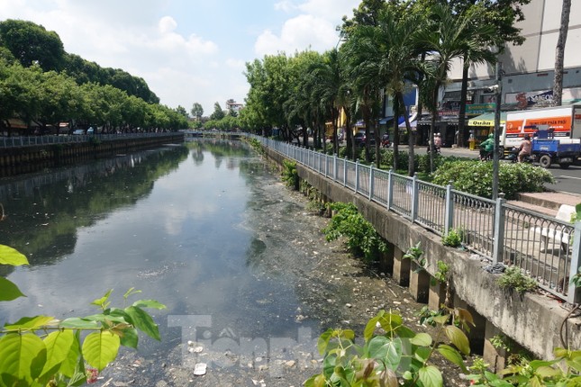 Cá chết, rác thải nổi trên kênh Nhiêu Lộc - Thị Nghè - Ảnh 1.