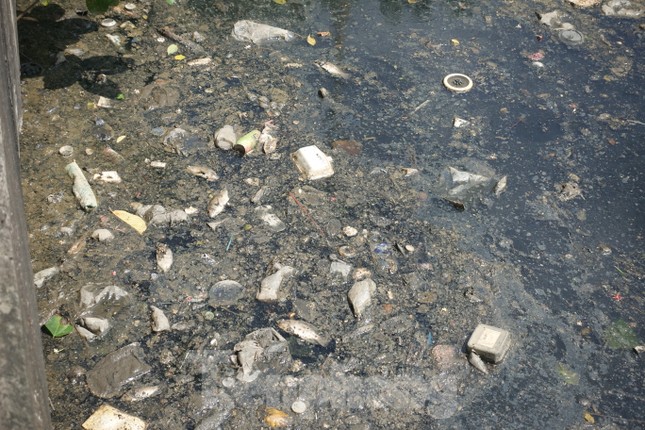 Cá chết, rác thải nổi trên kênh Nhiêu Lộc - Thị Nghè - Ảnh 2.