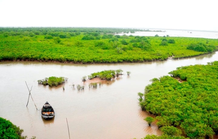 Học sinh tử vong khi trải nghiệm bắt ngao: Sở GD&ĐT Hà Nội nói gì? - Ảnh 1.