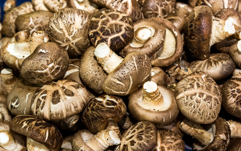 3 mẹo chọn nấm đông cô ngon, gặp loại này có rẻ cũng không nên mua