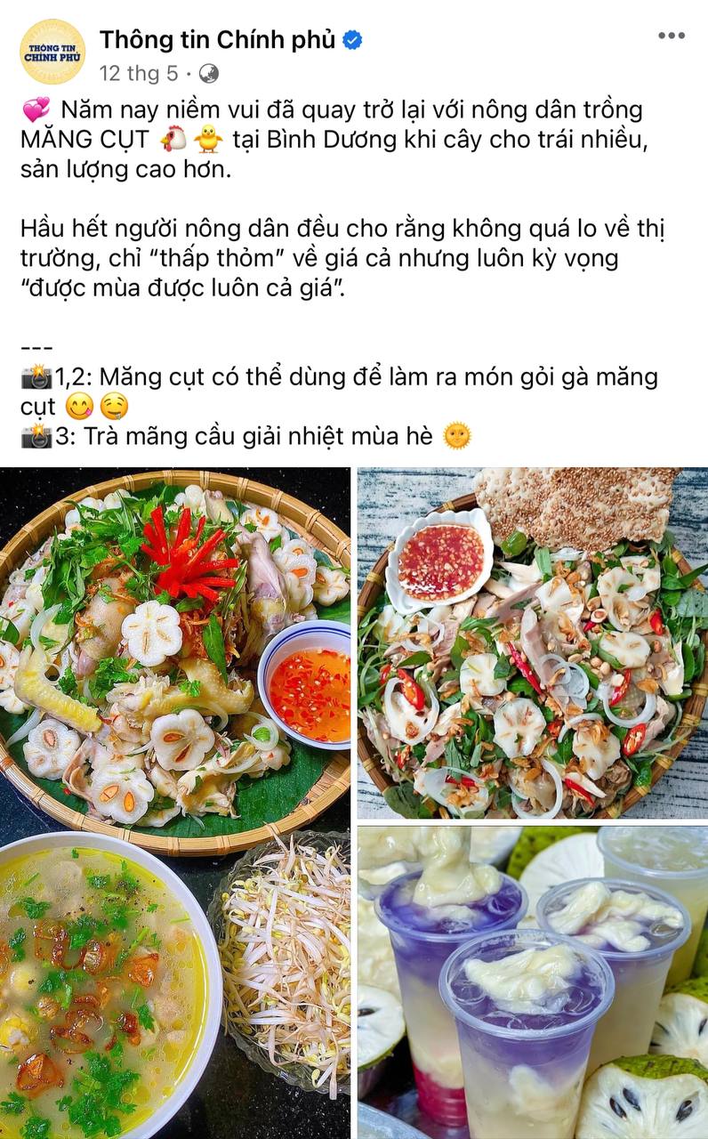 Vì sao fanpage Thông tin Chính phủ lại được giới trẻ yêu thích như hiện tại?  - Ảnh 3.