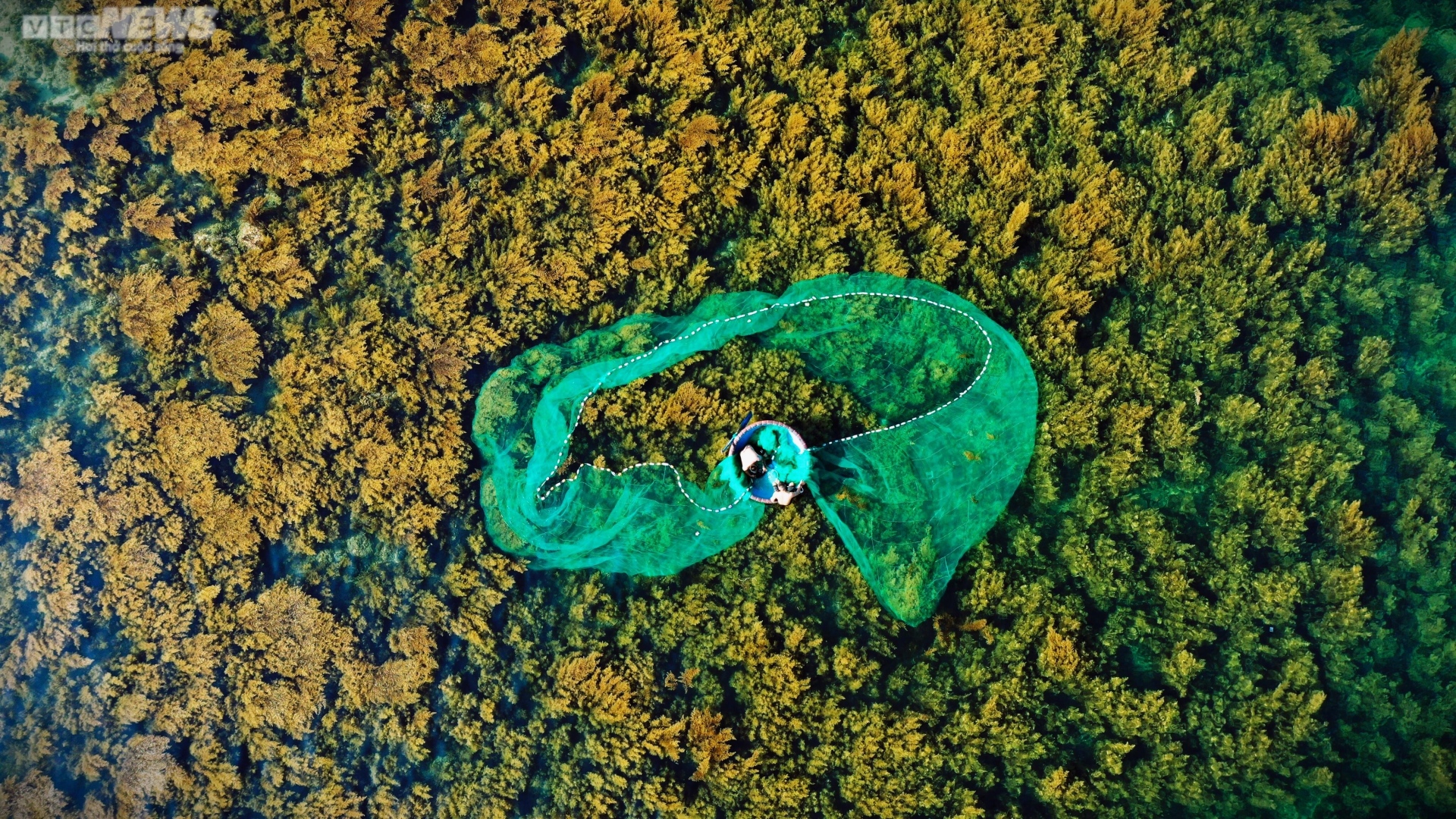 Ngất ngây 'cánh đồng vàng' dưới biển xanh trong ở đảo Hòn Khô, Bình Định - Ảnh 11.