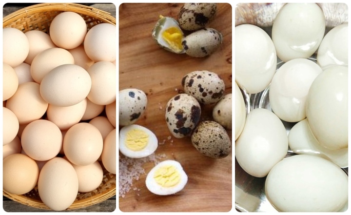 Trứng gà, trứng vịt, trứng cút: Ăn trứng nào bổ dưỡng nhất? - Ảnh 2.