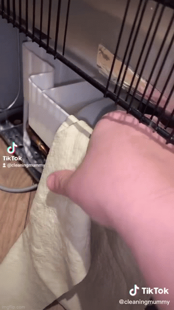 Chuyên gia tiết lộ bộ phận gây ra mùi khó chịu của tủ lạnh: Nằm ở vị trí hiểm ít ai nhìn thấy - Ảnh 3. Chuyên gia tiết lộ bộ phận gây ra mùi khó chịu của tủ lạnh: Nằm ở vị trí hiểm ít ai nhìn thấy - Ảnh 3.
