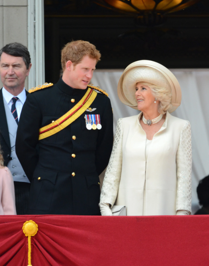Vương hậu Camilla giận dữ vì Hoàng tử Harry kể xấu Hoàng gia Anh - Ảnh 1.