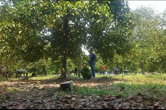 Người phụ nữ bị sát hại trong vườn trái cây ở huyện Củ Chi - Ảnh 1.