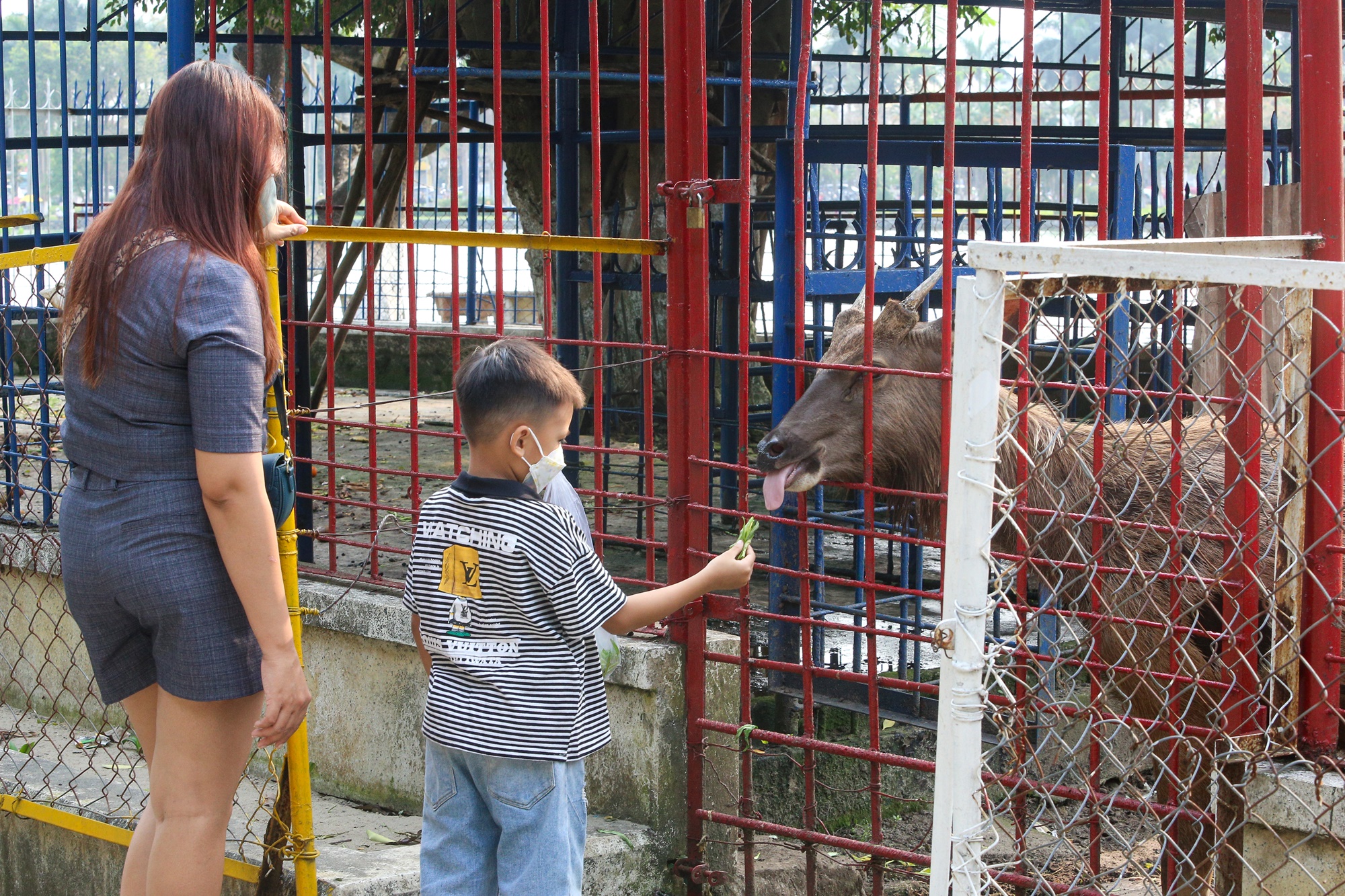 Những con vật đang sống ủ rũ, chật hẹp trong vườn thú duy nhất ở Đà Nẵng - Ảnh 15.