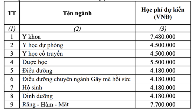 Trường ĐH Y Dược TPHCM tăng học phí, ngành cao nhất 77 triệu đồng/năm - Ảnh 2.