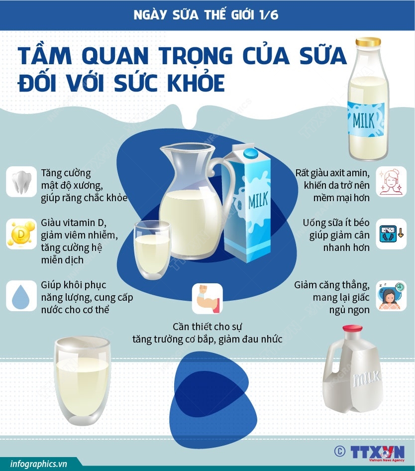 Ngày Sữa Thế giới 1/6: Tầm quan trọng của sữa đối với sức khỏe - Ảnh 1.