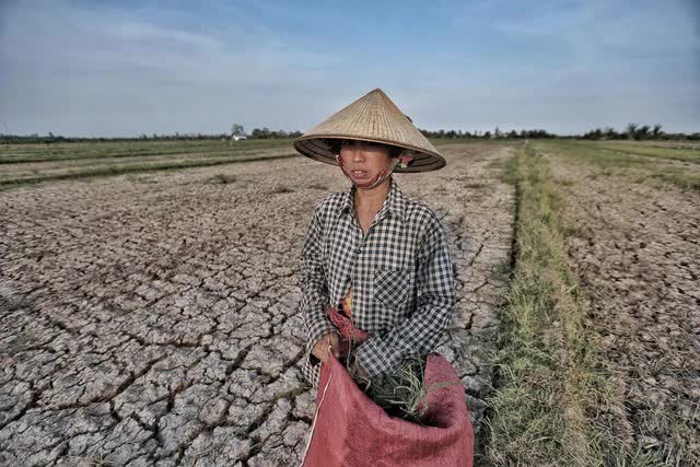 El Nino chính thức trở lại - Ảnh 3.