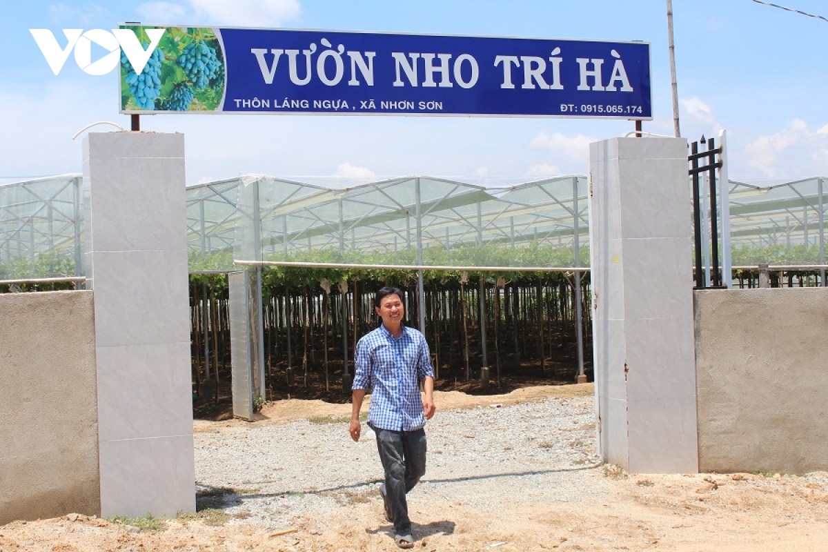 Ninh Thuận sẵn sàng cho Lễ hội Nho – Vang năm 2023 - Ảnh 1.