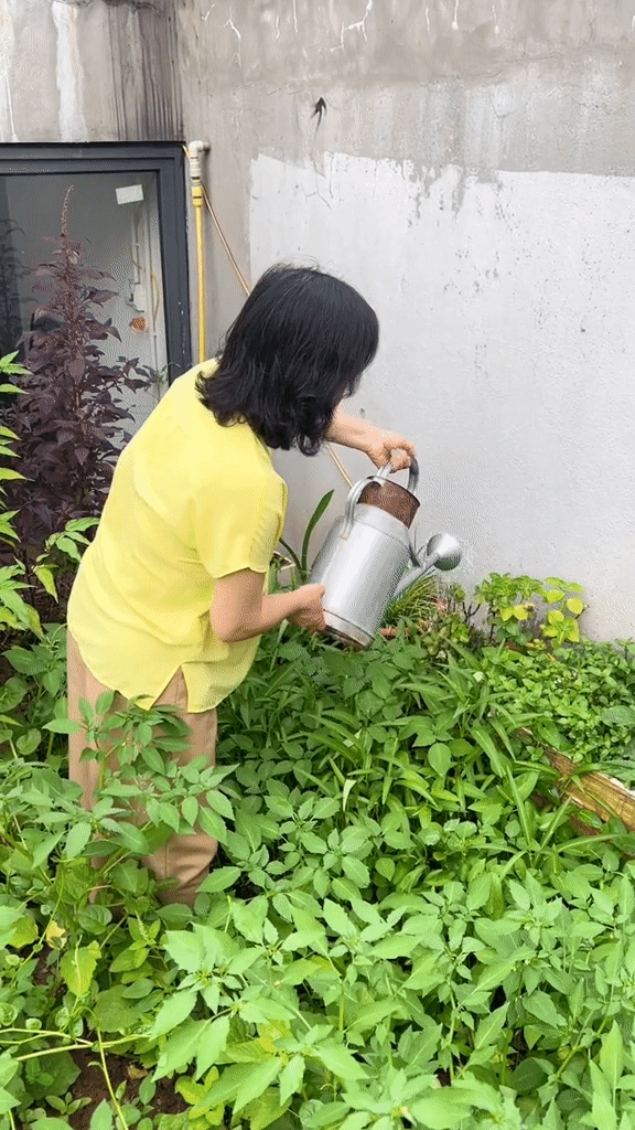 Khu vườn sân thượng "nhỏ mà có võ": Vừa có rau ăn quanh năm, vừa gắn kết gia đình - Ảnh 3. Khu vườn sân thượng "nhỏ mà có võ": Vừa có rau ăn quanh năm, vừa gắn kết gia đình - Ảnh 3.
