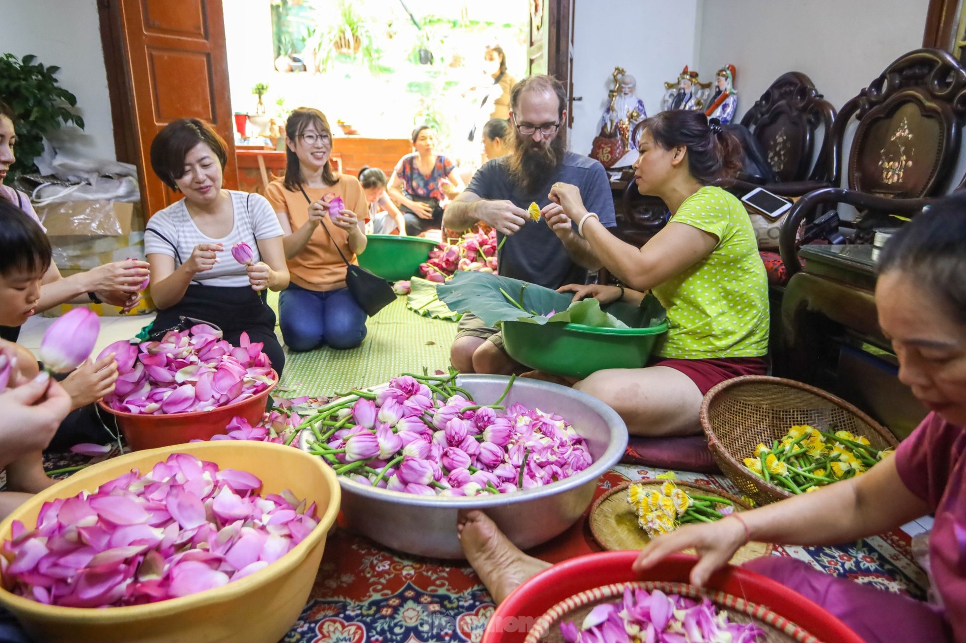 Cận cảnh quy trình ướp trà sen đệ nhất trà Hà thành, giá cả chục triệu đồng/kg - Ảnh 6.