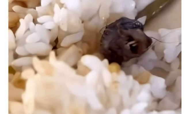 Trung Quốc: Kinh dị đầu chuột lẫn trong bữa ăn của sinh viên - Ảnh 1. Trung Quốc: Kinh dị đầu chuột lẫn trong bữa ăn của sinh viên - Ảnh 1.