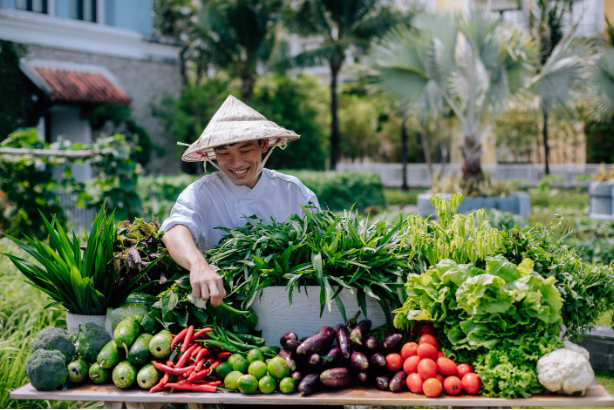 Bùng nổ nhu cầu chọn điểm đến 5 sao cho du lịch gia đình - Ảnh 2. Bùng nổ nhu cầu chọn điểm đến 5 sao cho du lịch gia đình - Ảnh 2.