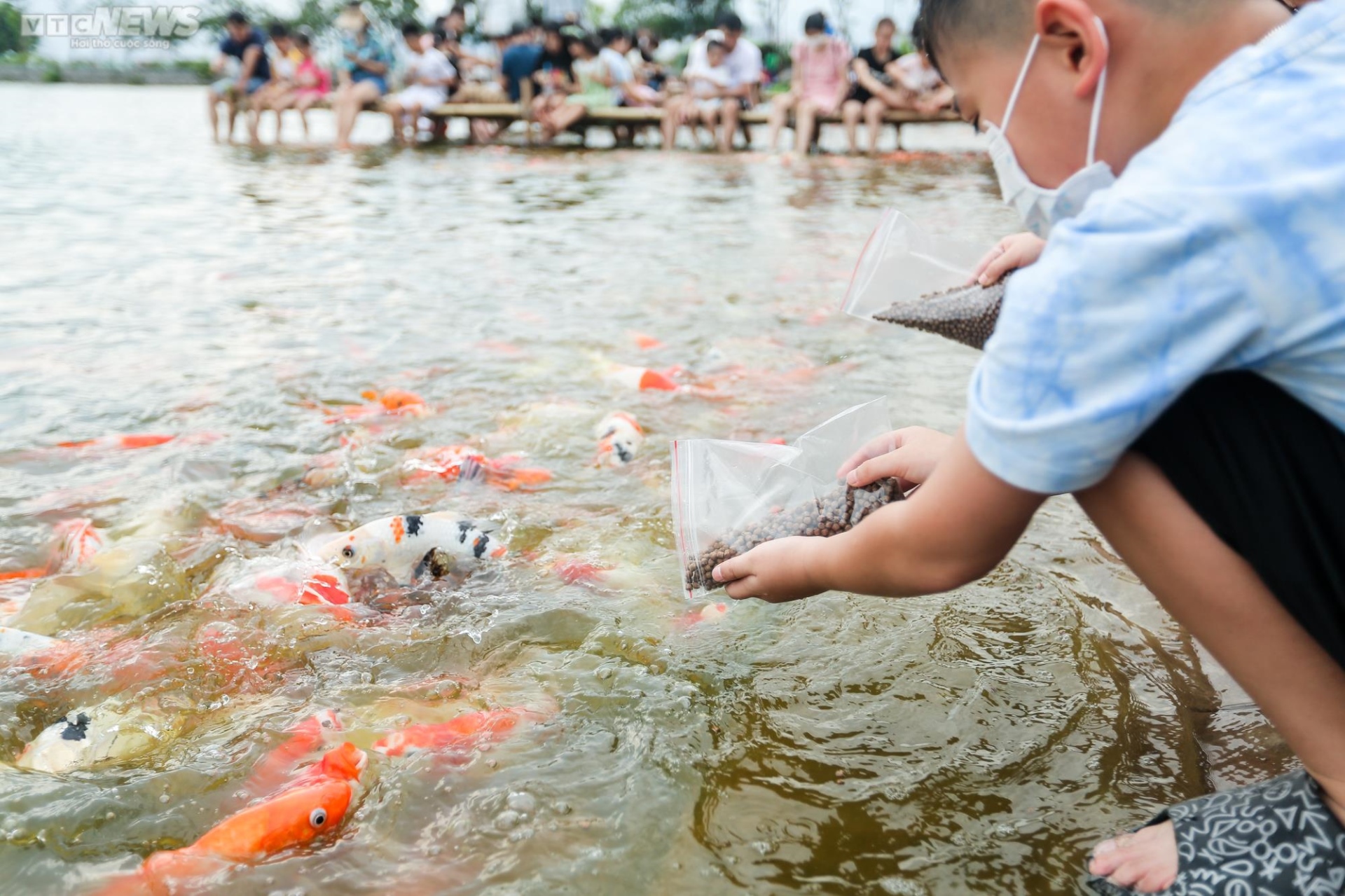 Người dân kéo đến trải nghiệm tại hồ cá Koi lớn nhất Hà Nội - Ảnh 8.