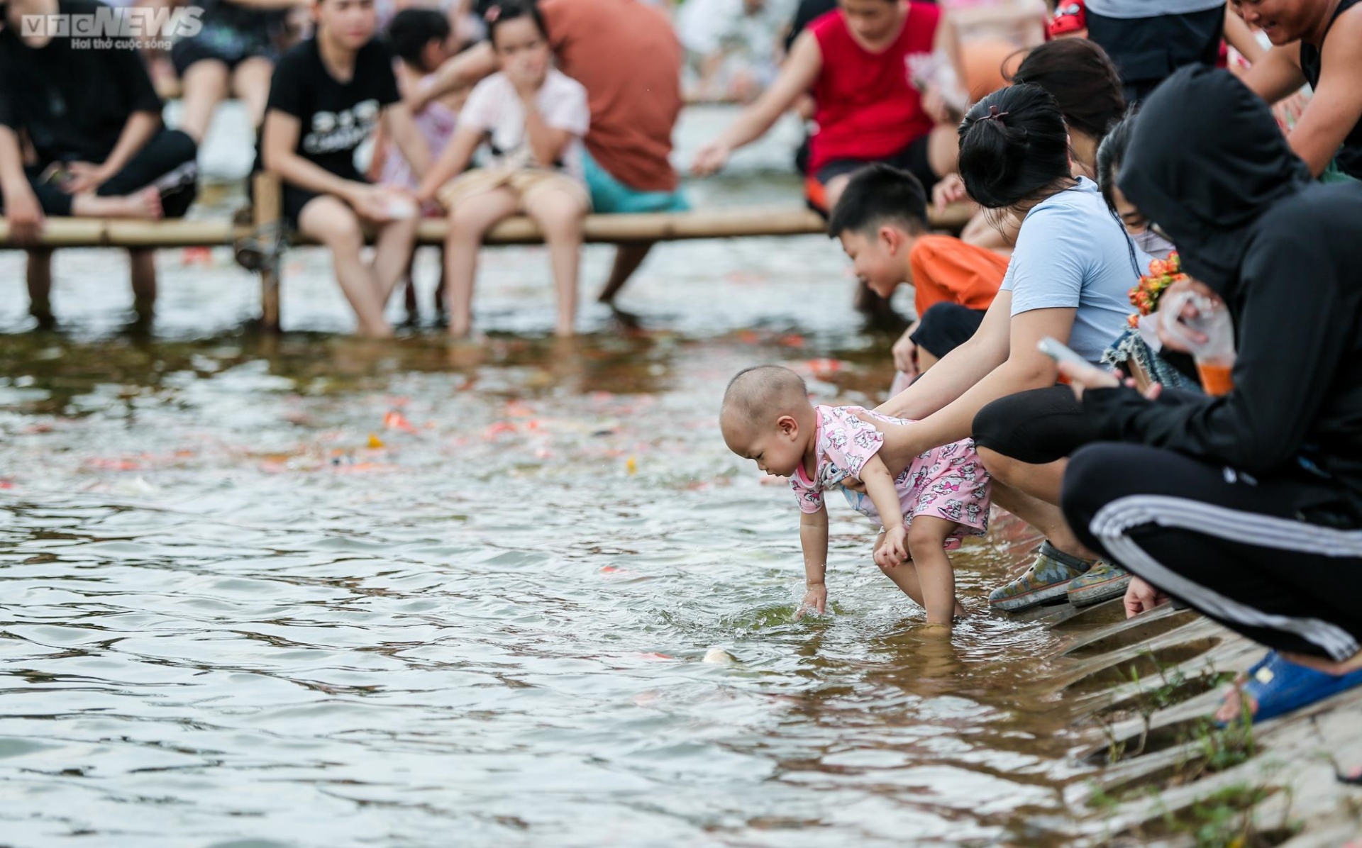 Người dân kéo đến trải nghiệm tại hồ cá Koi lớn nhất Hà Nội - Ảnh 11.