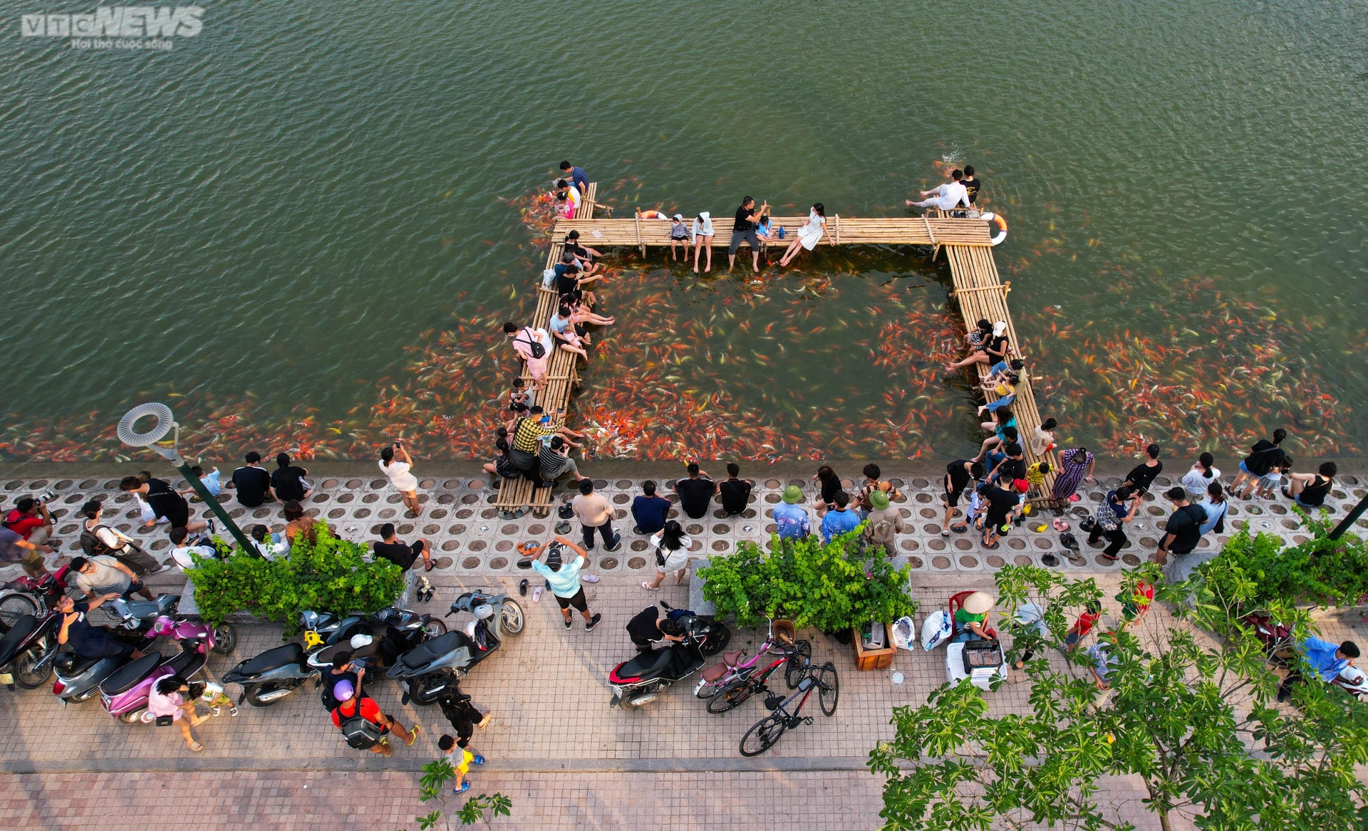 Người dân kéo đến trải nghiệm tại hồ cá Koi lớn nhất Hà Nội - Ảnh 1.