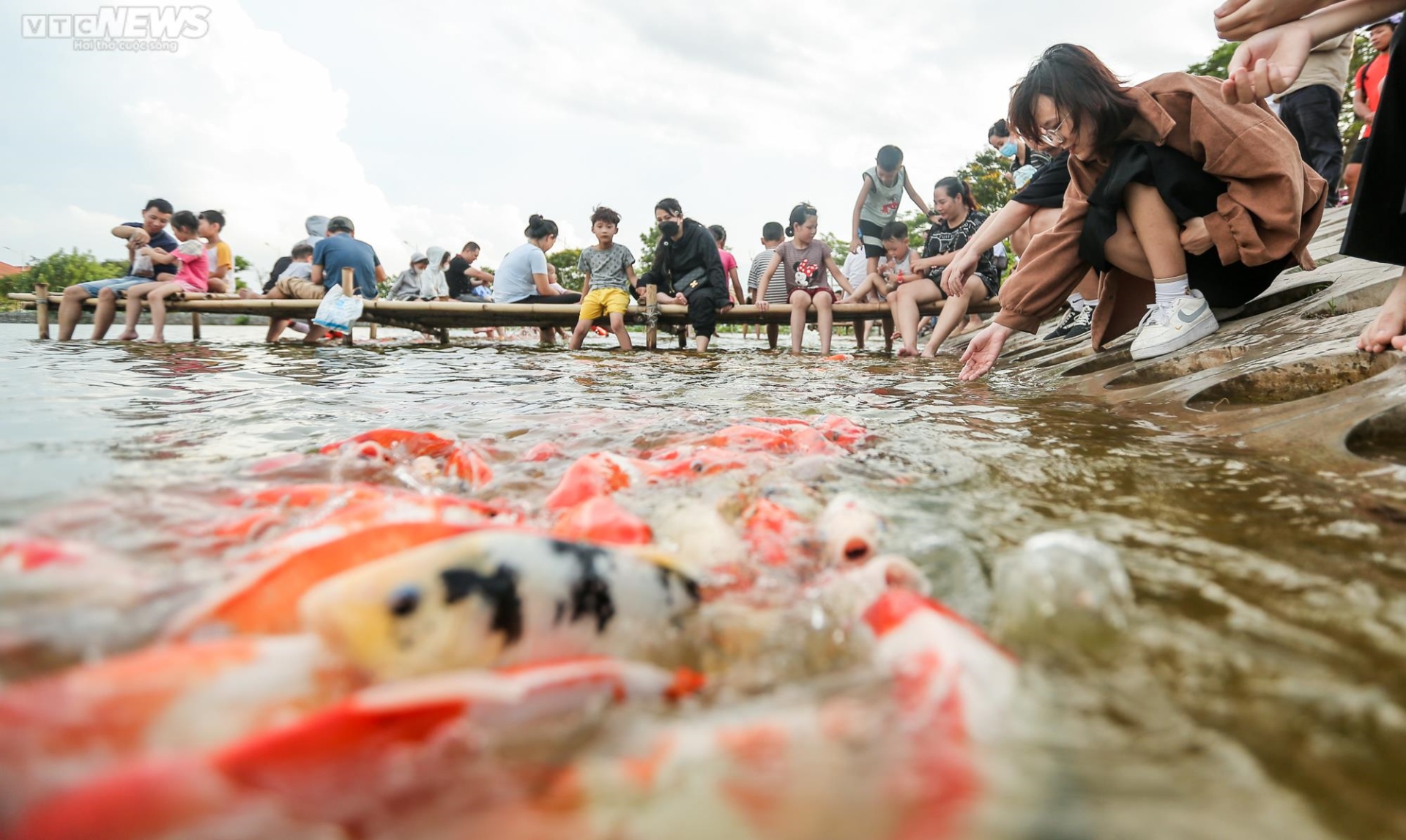 Người dân kéo đến trải nghiệm tại hồ cá Koi lớn nhất Hà Nội - Ảnh 7.