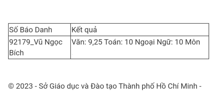 Thủ khoa lớp 10 TP.HCM từng rớt ngay vòng loại thi học sinh giỏi - Ảnh 1.