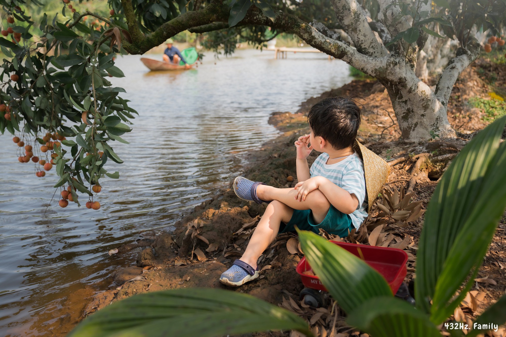 Trốn nóng Hà Nội, em bé cùng bố mẹ trải nghiệm ngồi ghe tự tay hái và thưởng thức vải trên đất Thanh Hà - Ảnh 2.