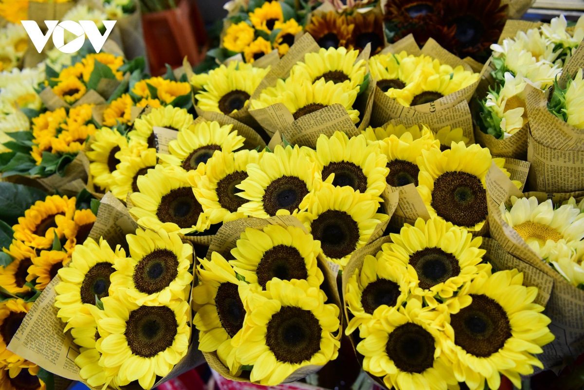 Bên trong chợ hoa lớn nhất châu Á - nơi 1 bó hoa có giá chỉ bằng 1 bông hoa - Ảnh 6.